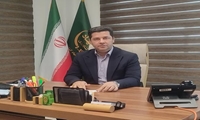 یک میلیون تن کود برای باغات کشور نیاز است/ شناسنامه‌دار شدن 600 هزار هکتار باغ